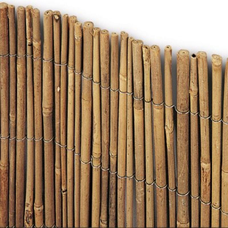 foto del prodotto tenda siepe arella bambu taim 1,5x3 cannette 8 10 mm biacchi ettore