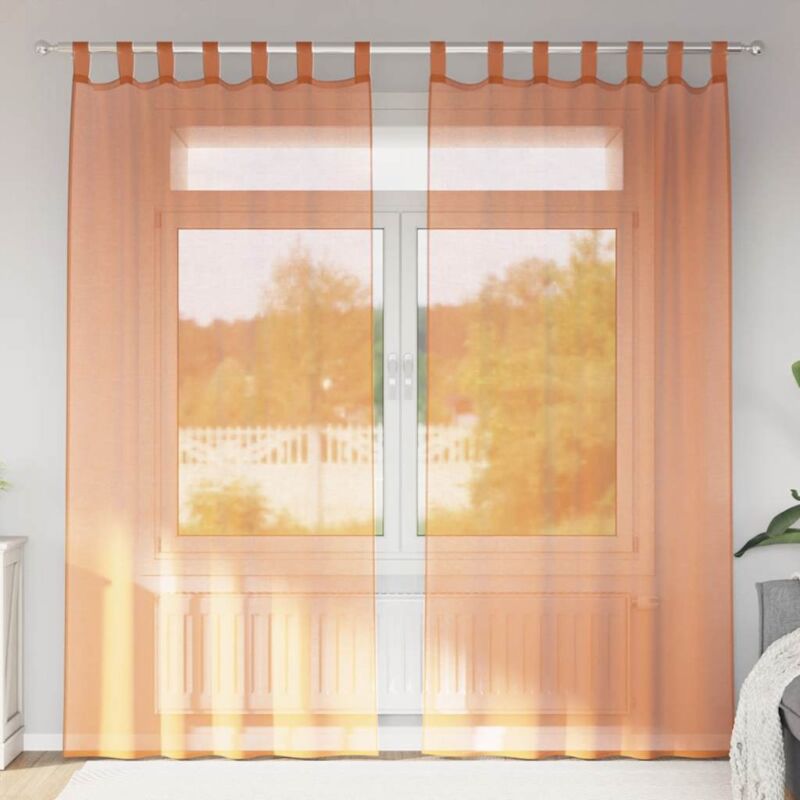 foto del prodotto tende in voile con passanti 2 pz terracotta 140x225 cm vidaxl