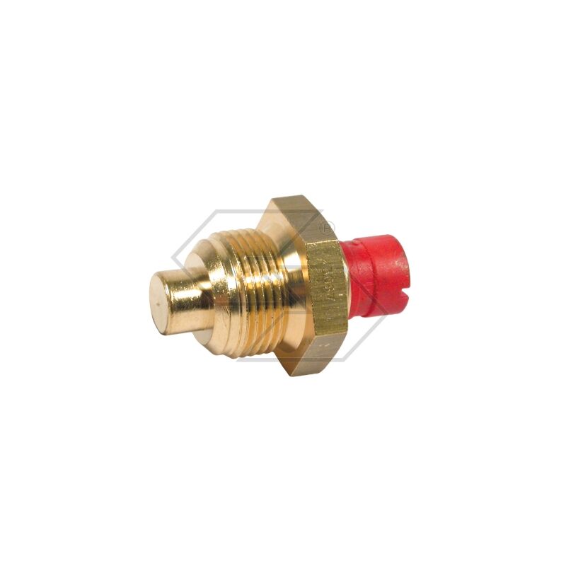 foto del prodotto termistore per termometro acqua newgarden store a08667
