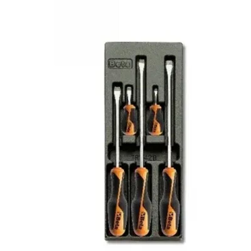 foto del prodotto termoformato con 5 utensili art. t201