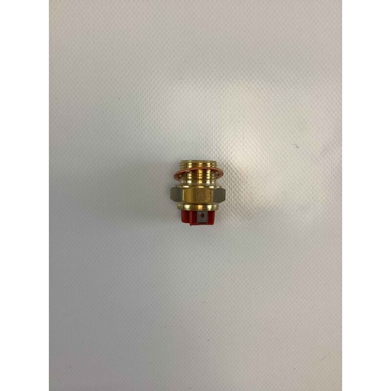 foto del prodotto termointerruttore per scambiatore turbo1 originale gianni ferrari 00.54.10.0053