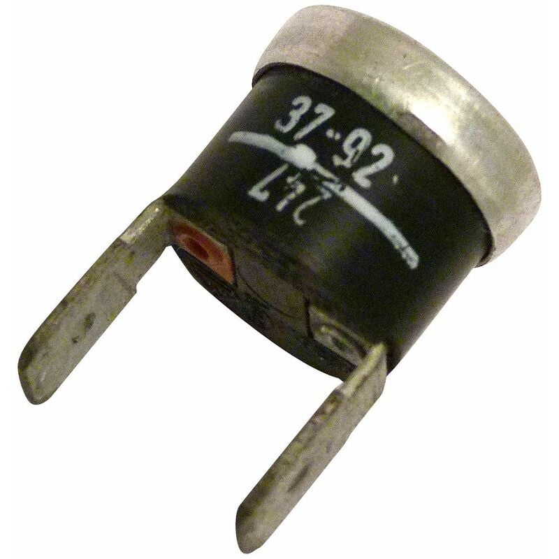 foto del prodotto termostato 40 gradi - friggitrice ignis 313695