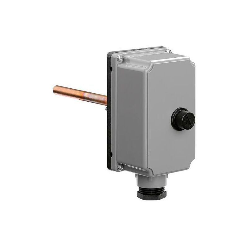 foto del prodotto termostato ad immersione di sicurezza 100 gradi caleffi 624000