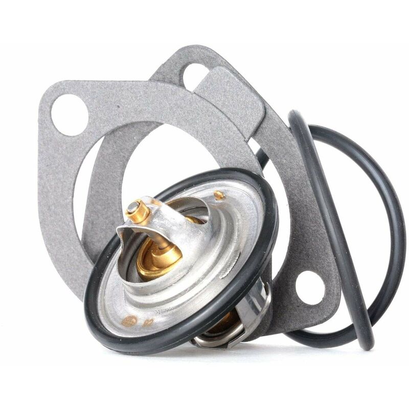 foto del prodotto termostato th12792g1 gates