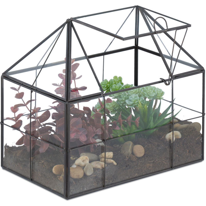 foto del prodotto terrario piante, mini serra in vetro e rame, hlp 21x23x14 cm, piantine grasse e muschi, vaso ecosistema, nero relaxdays