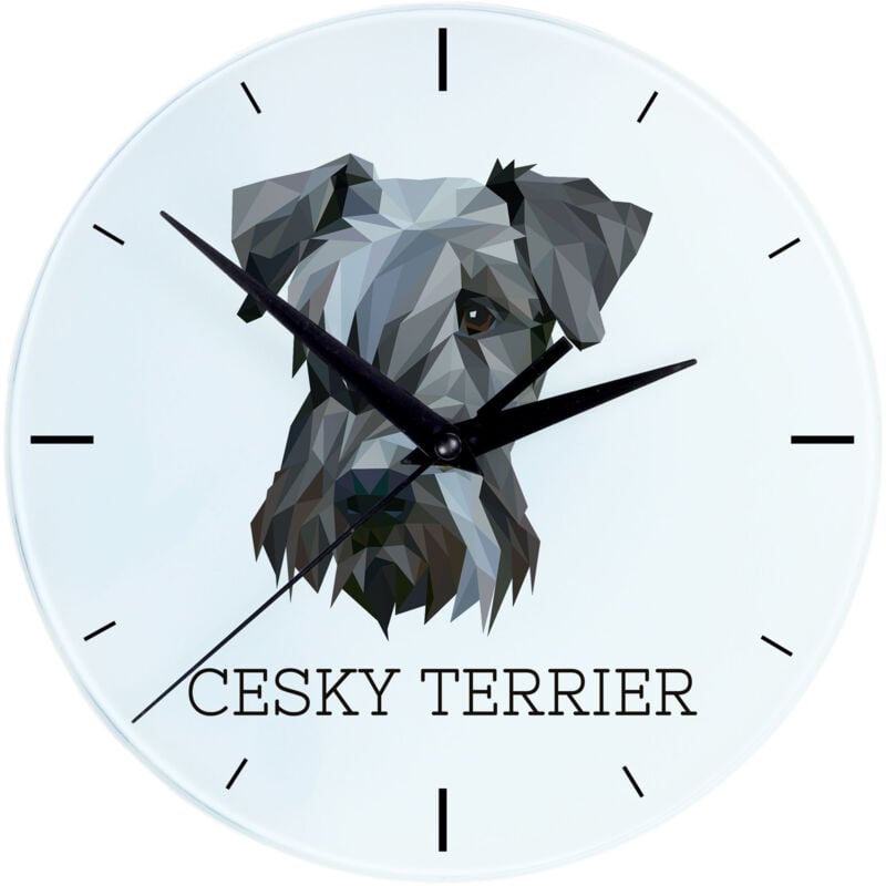 foto del prodotto terrier ceco, cesky terrier - orologio da parete geometrico con foto e scritta di art-dog