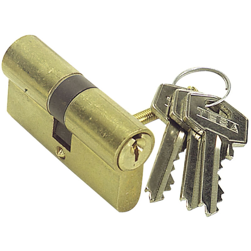foto del prodotto tesa assa abloy, 50303535l, cilindro standard, te5, camma lunga, chiave chiave, ottone, 35 x 35 mm