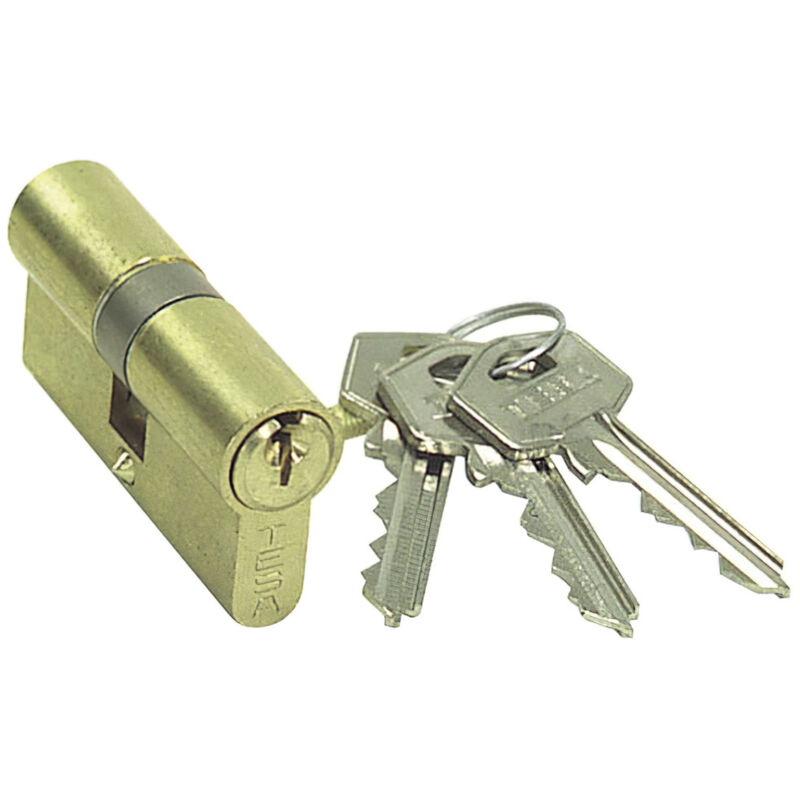 foto del prodotto tesa assa abloy 52003030l, cilindro standard, te5, camma corta, chiave chiave, ottone, 30 x 30 mm