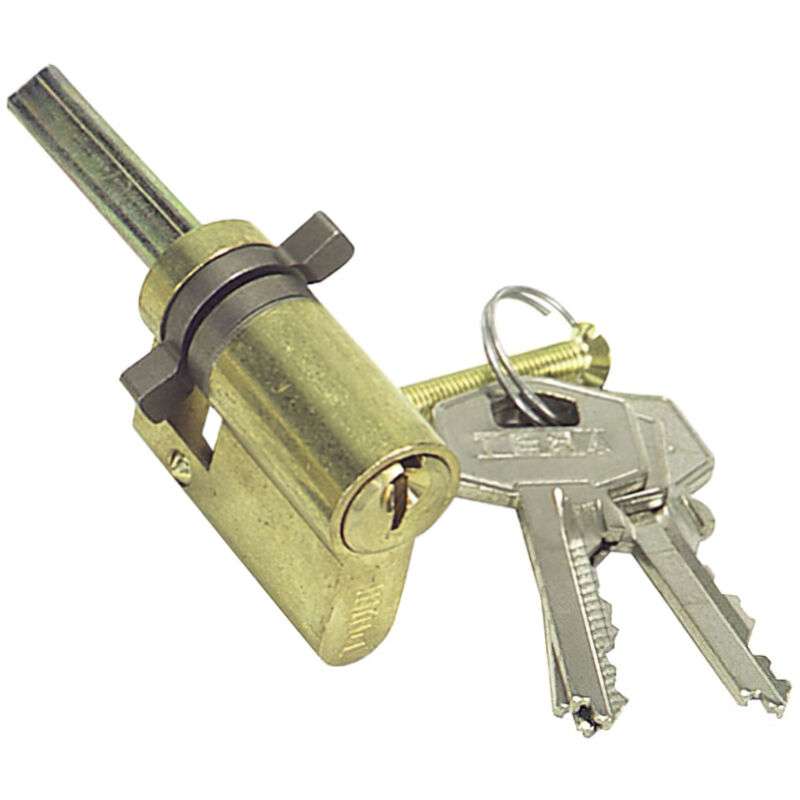foto del prodotto tesa assa abloy 552000lt,cilindro di standard security te5,profilo ovale,nichelato