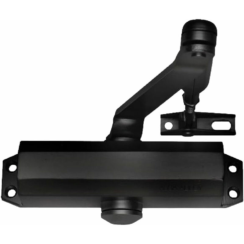 foto del prodotto tesa assa abloy chiudiporta aereo dc110 col.argento con fermo
