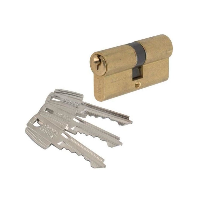foto del prodotto tesa assa abloy - cilindro tesa te5 -30x30mm - variante mv1 56698b - ottone - t5a03030l