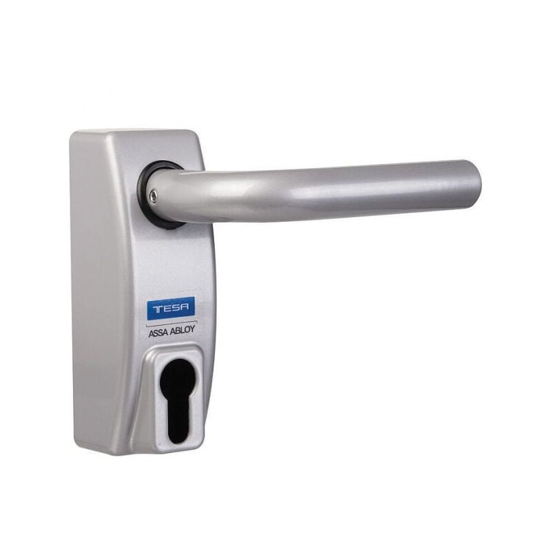 foto del prodotto tesa assa abloy maniglia a leva tesa argento mmodmbscgr