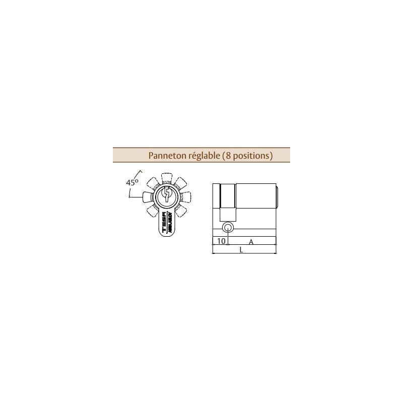 foto del prodotto tesa assa abloy tesa te5 nichelato 30x10 cilindro bit regolabile t53w3010n