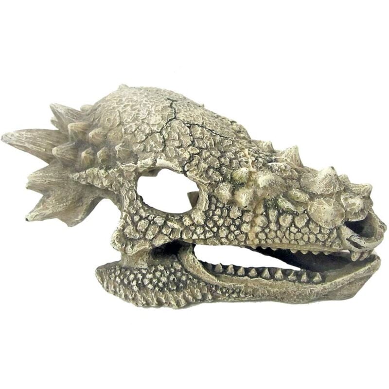 foto del prodotto teschio di drago 15,3x10x80 cm decorazione per acquari