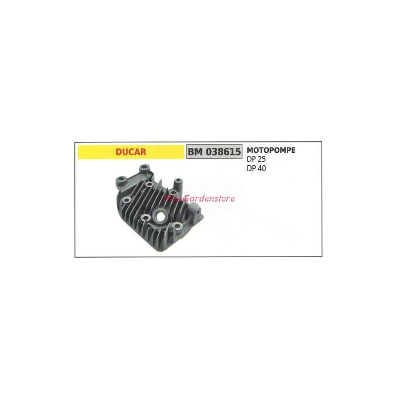 immagine 0 del prodotto testa cilindro albero motore ducar motore motopompa dp 25 40 038615