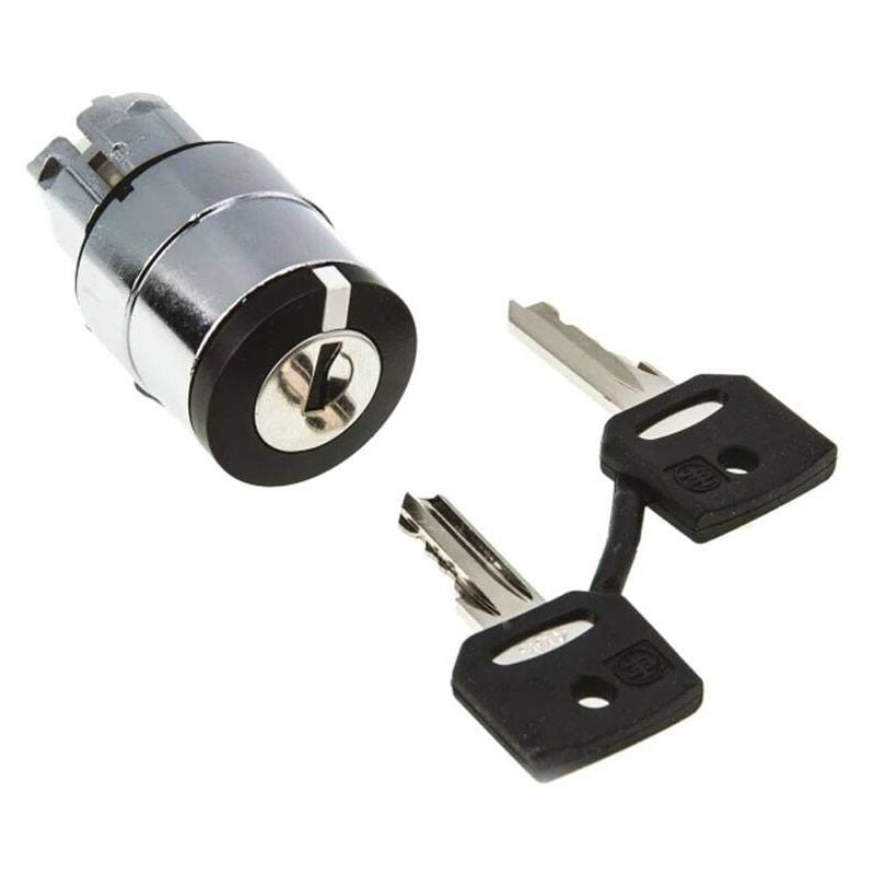 foto del prodotto testa selettore a chiave telemecanique 2 posizioni zb4bg2