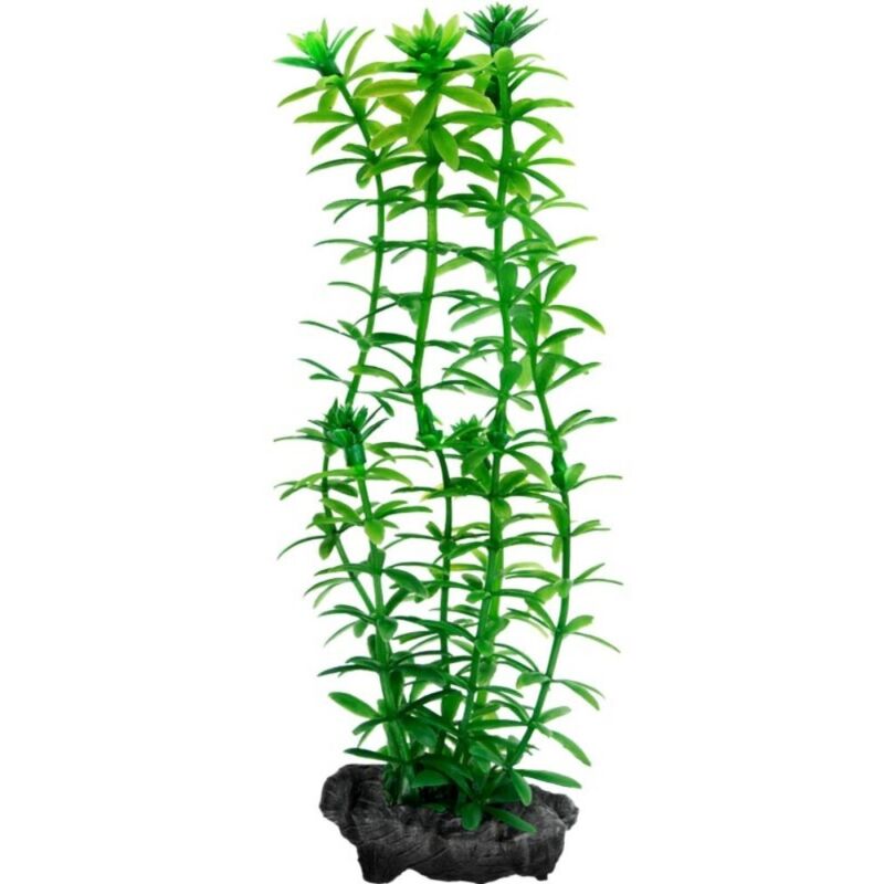 foto del prodotto tetra pianta decorativa in plastica modello anacharis egeria densa modello m