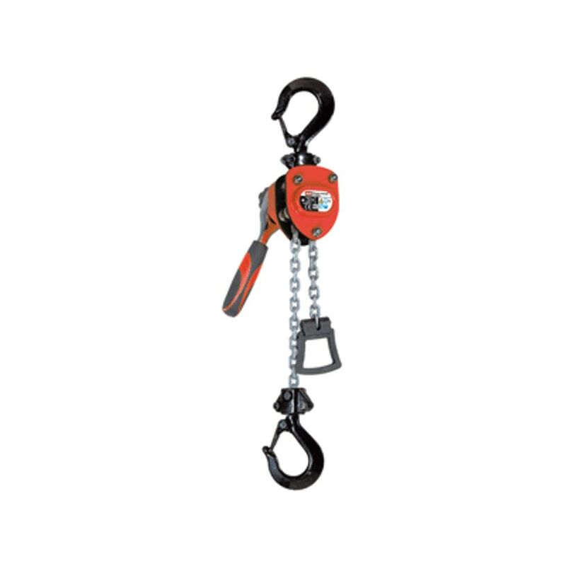 foto del prodotto tg paranco manuale a catena 250 kg 1650138 valex argano verricello