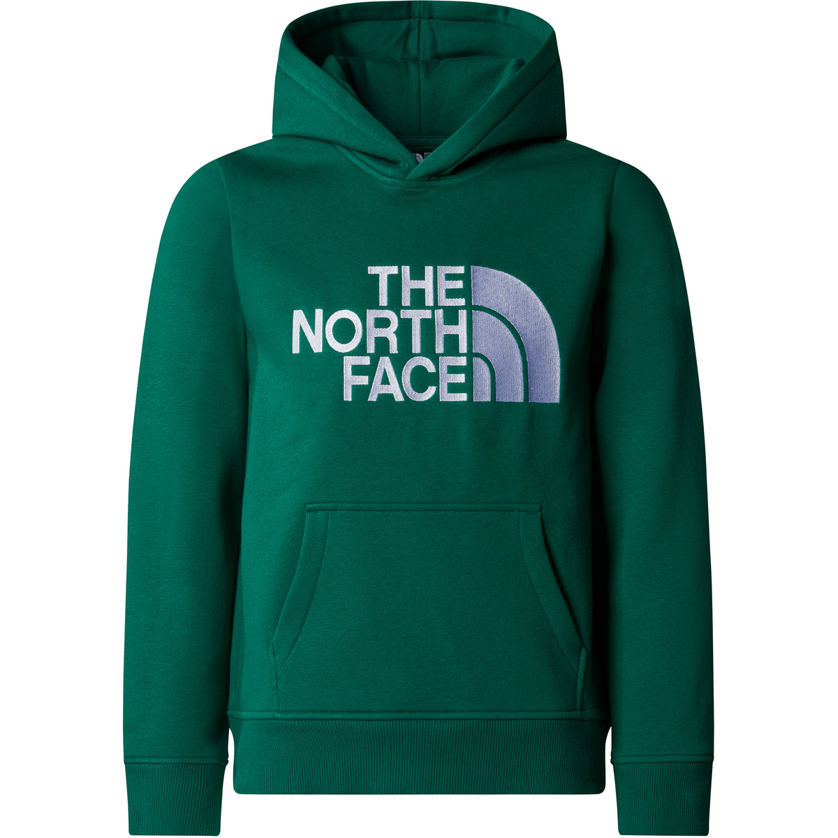 foto del prodotto the north face bambino felpa con cappuccio boys drew peak