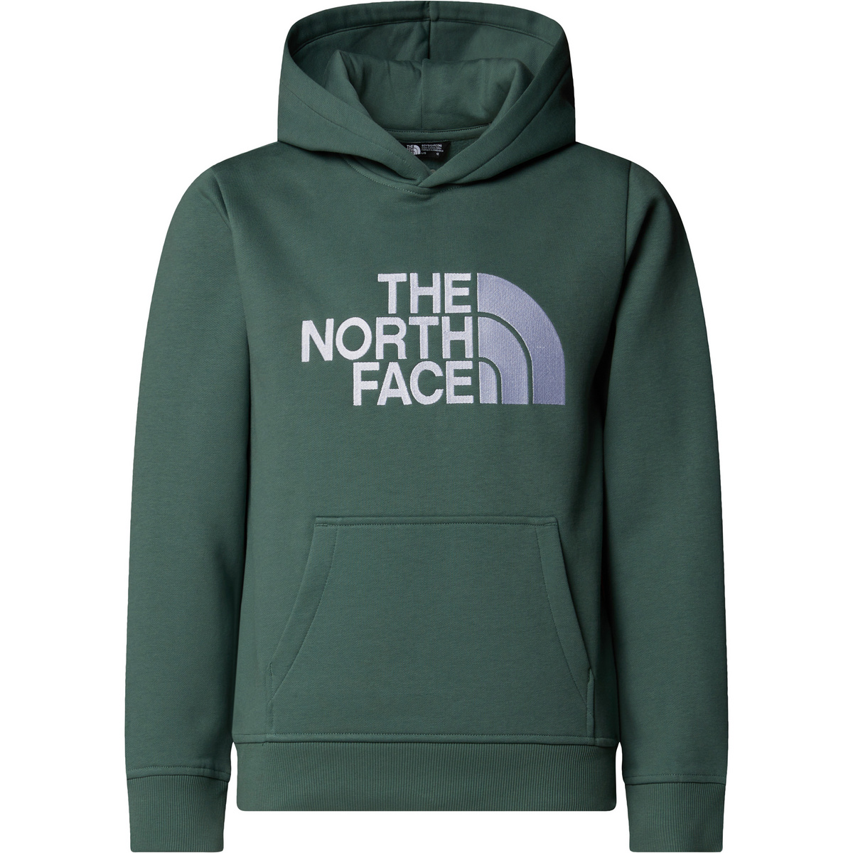 foto del prodotto the north face bambino felpa con cappuccio boys drew peak
