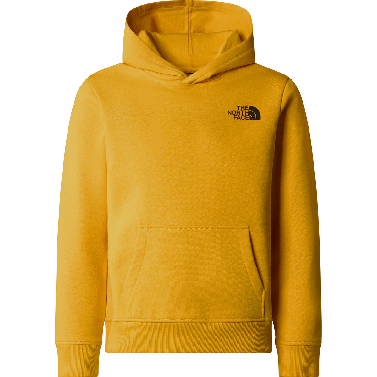 foto del prodotto the north face bambino felpa con cappuccio teen redbox regular