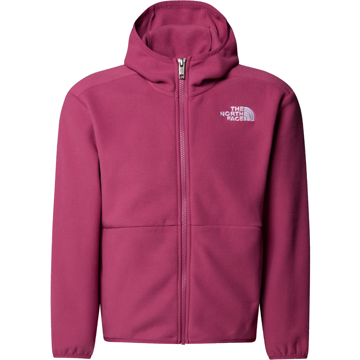 foto del prodotto the north face bambino giacca teen glacier hoodie