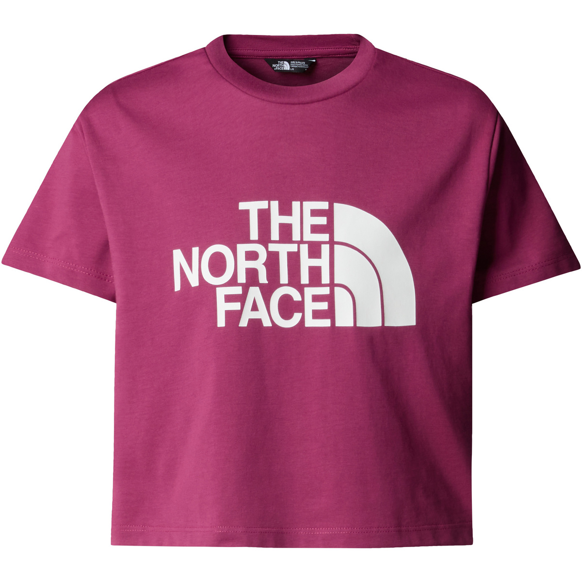 foto del prodotto the north face bambino maglietta g crop easy