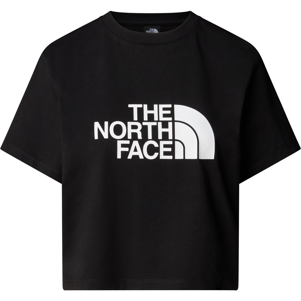 foto del prodotto the north face donna maglietta easy relaxed cropped