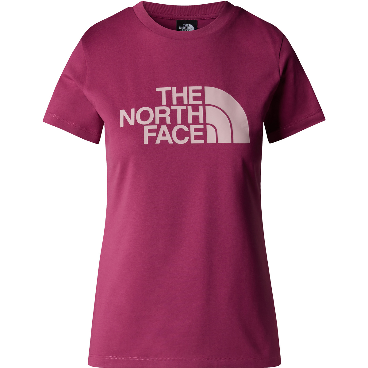 foto del prodotto the north face donna t shirt easy