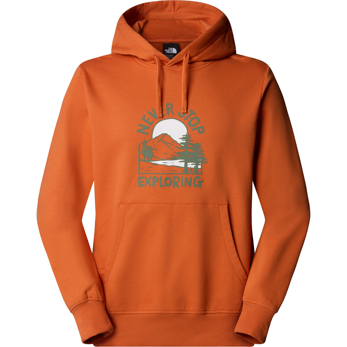 foto del prodotto the north face uomo felpa con cappuccio outdoor graphic