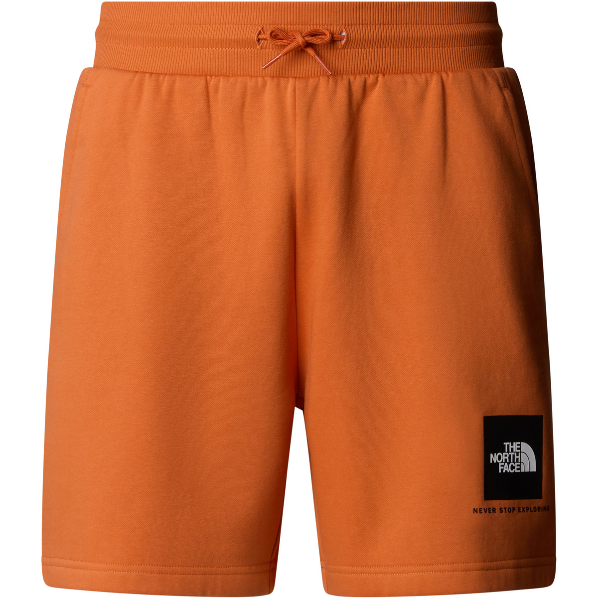 foto del prodotto the north face uomo pantaloncini box nse