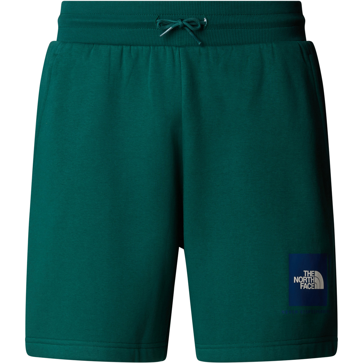 foto del prodotto the north face uomo pantaloncini box nse