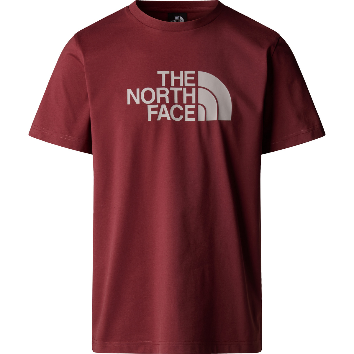 foto del prodotto the north face uomo t shirt easy