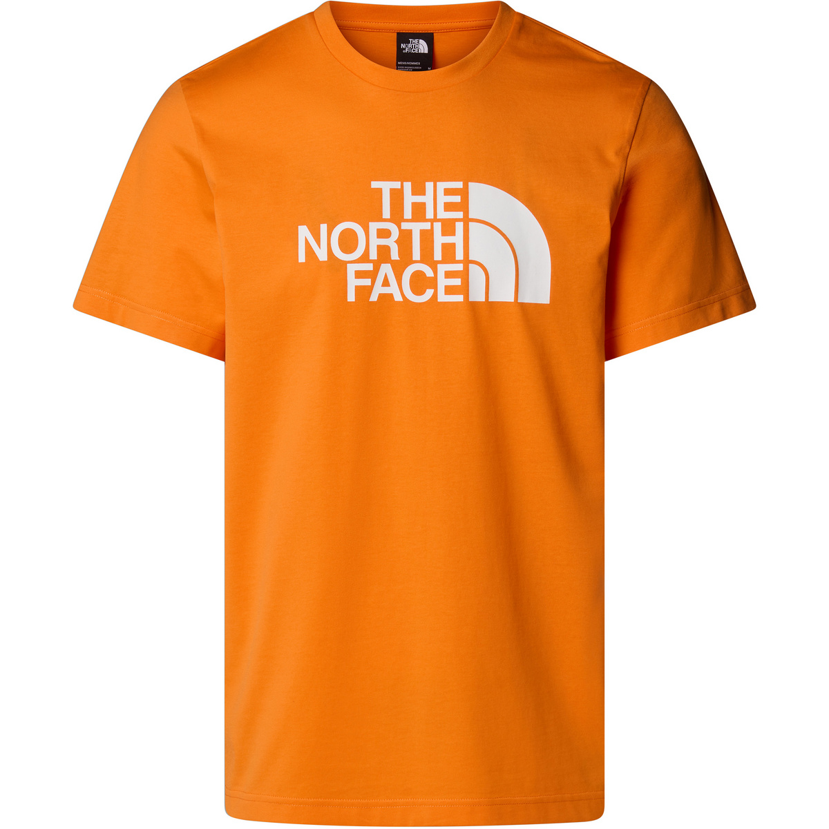 foto del prodotto the north face uomo t shirt easy