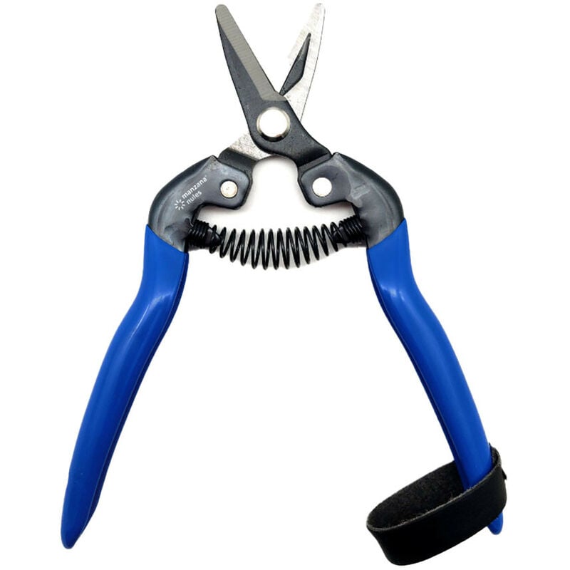 foto del prodotto tico m100 leggero blu ce