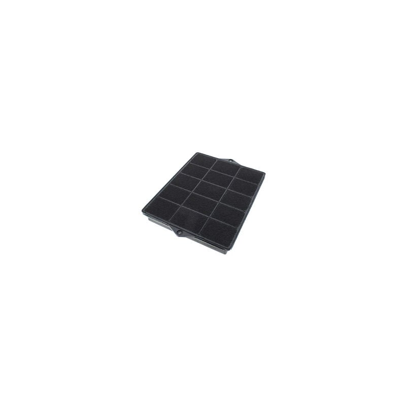 foto del prodotto tipo 160 filtro a carbone per cappuccio scholtes