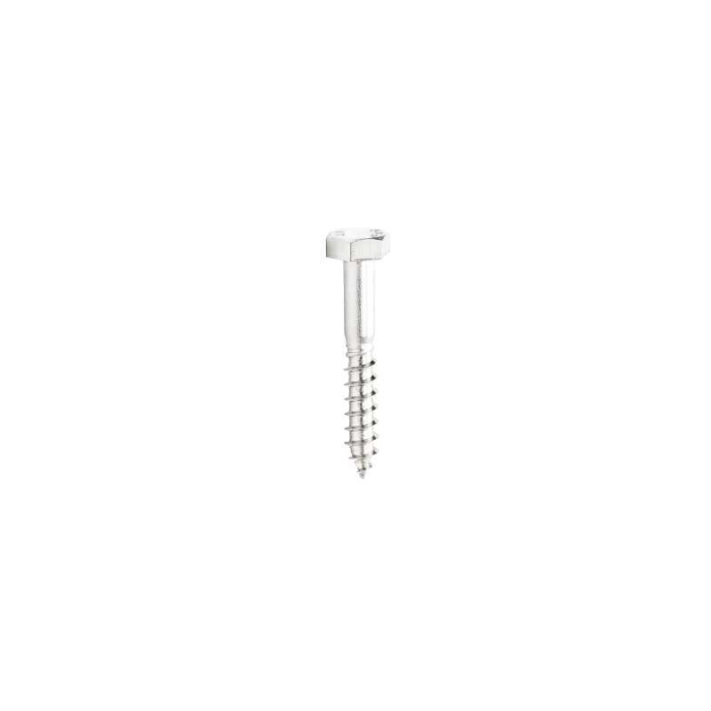 foto del prodotto tirafondi testa esagonale inox mm.6x80