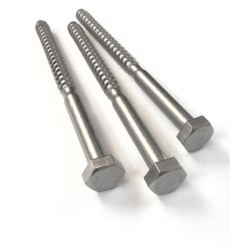 foto del prodotto tirafondo in acciaio inox te din 571 m8x100 a2