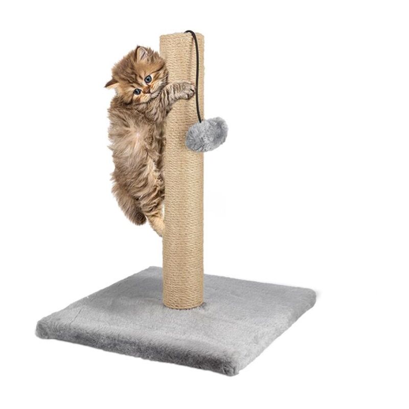 foto del prodotto tiragraffi a colonna con pom pom da h 40 cm in colore assortito optimo