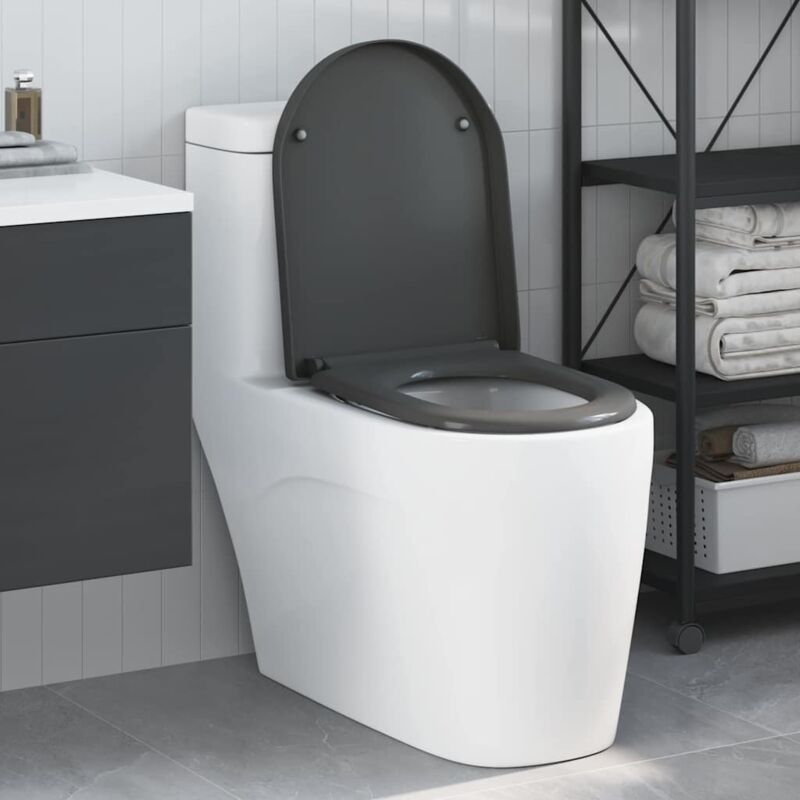 foto del prodotto toilette a rilascio rapido con chiusura morbida in duroplast antracite vidaxl