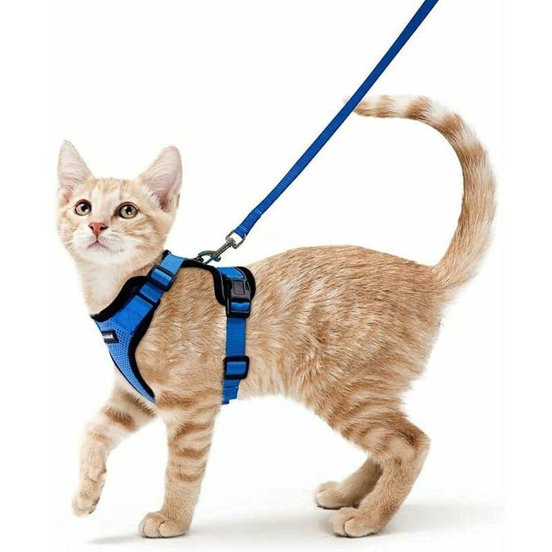 foto del prodotto tonchean guinzaglio per gatti, regolabile, blu, xs, riflettente, per cani di piccola taglia, con clip superiore e gilet traspirante per animali