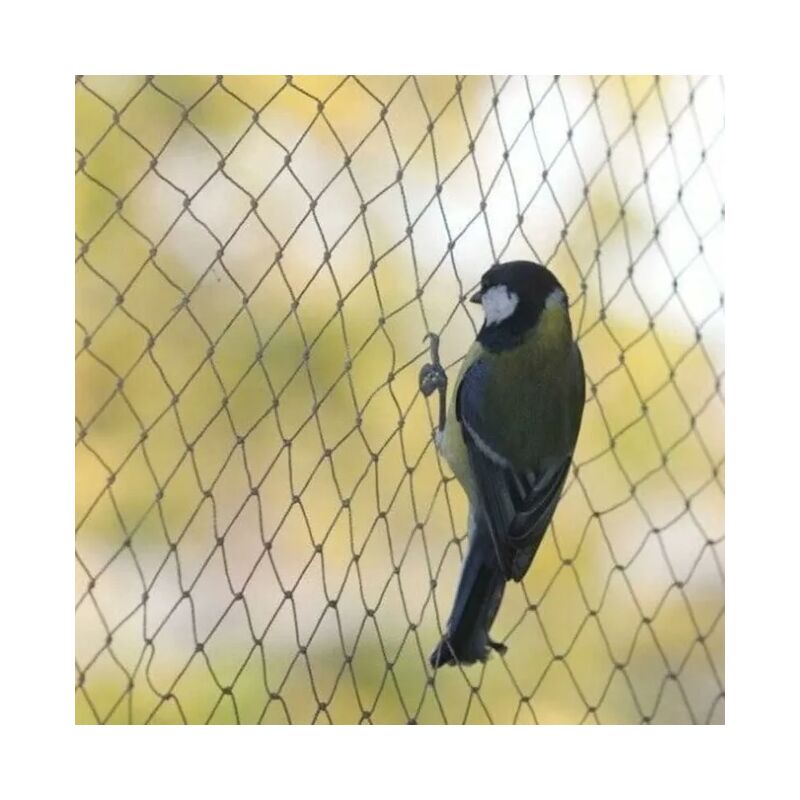 foto del prodotto tonchean rete anti uccelli, maglia 1,51,5 cm 10 m5 m, rete anti uccelli, rete di protezione per laghetti da giardino resistente per frutta e