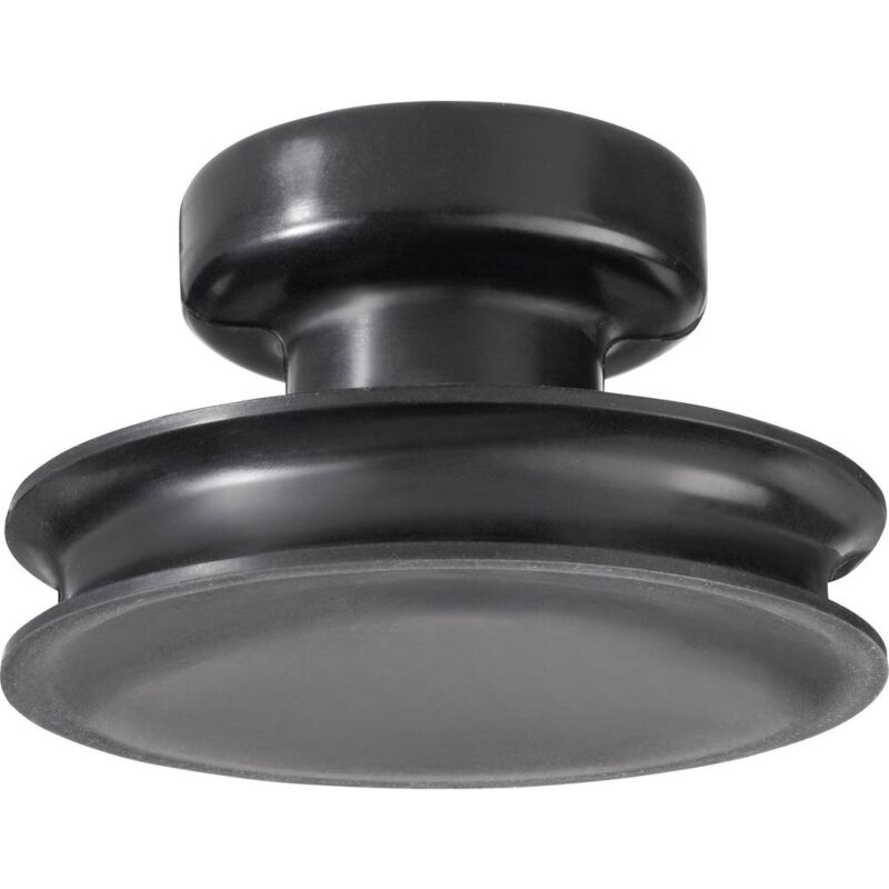 foto del prodotto toolcraft 484891 ventose a sifone capacit di carico max 15 kg