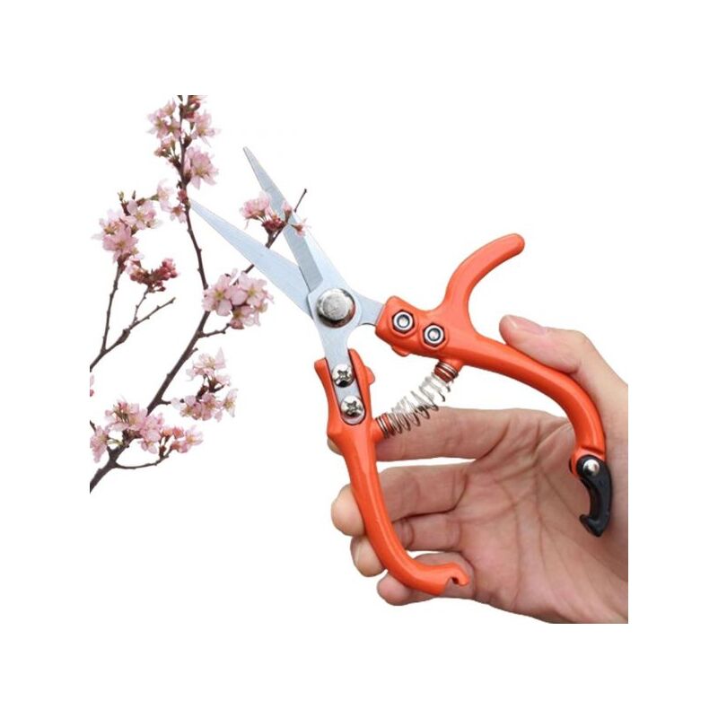 foto del prodotto topolenashop cesoia forbici per potatura punta diritta per fiori, cespugli, tagliapiante 1192