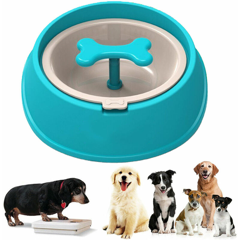 foto del prodotto topolenashop ciotola antisoffocamento anti ingozzamento obesita cane cani gatto 0.65l