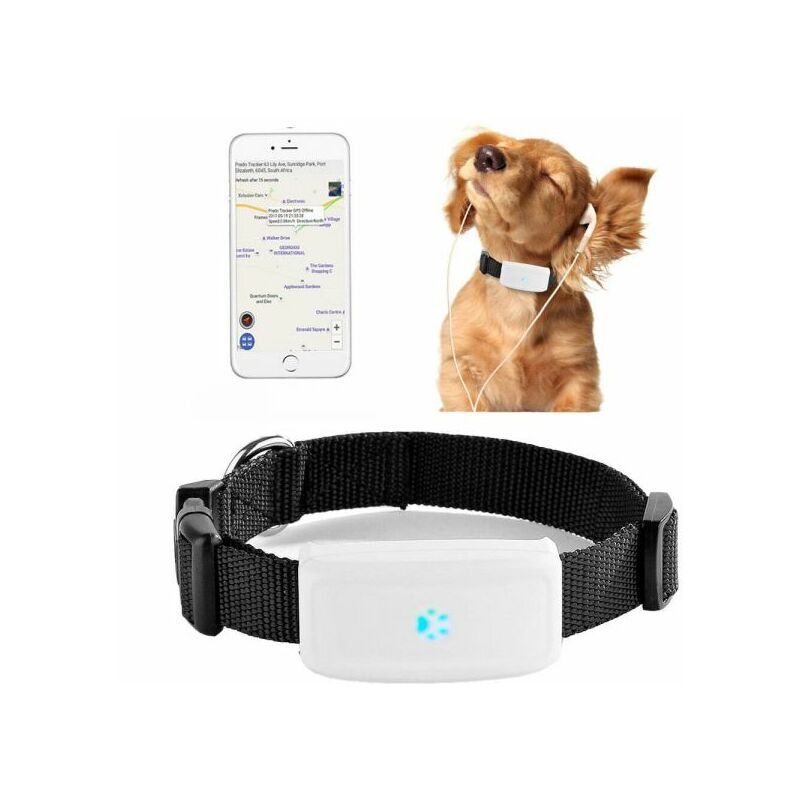 foto del prodotto topolenashop collare localizzatore gps gsm tracker per animali cane gatto con collare