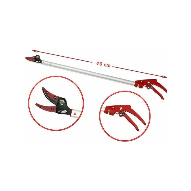foto del prodotto topolenashop forbice potatura coglifrutta cesoia raccogli frutta 80 cm taglia piante giardino