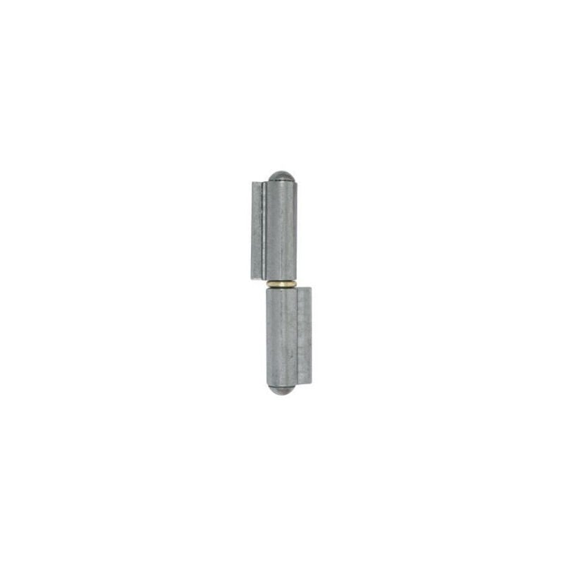 foto del prodotto torbel cerniera per cancello arrotolata lama corta 140x11 anello in ottone grlc140