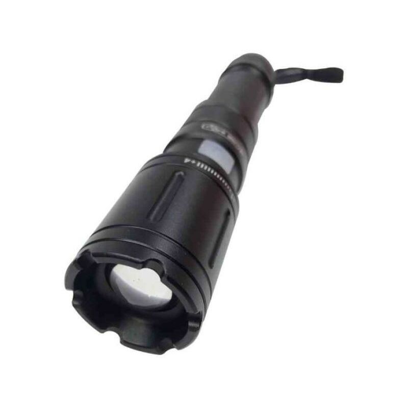 foto del prodotto torcia doppia alimentazione cfg argo 5w 600 lumen -el102