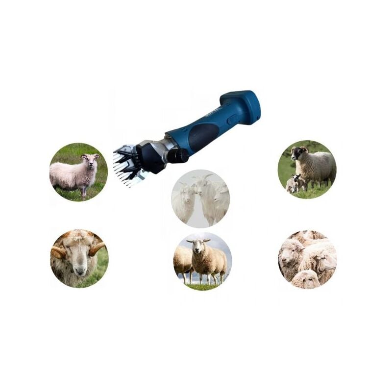 foto del prodotto tosapecore ricaricabile doppia batteria 21v tosatrice ovini tosa pecore